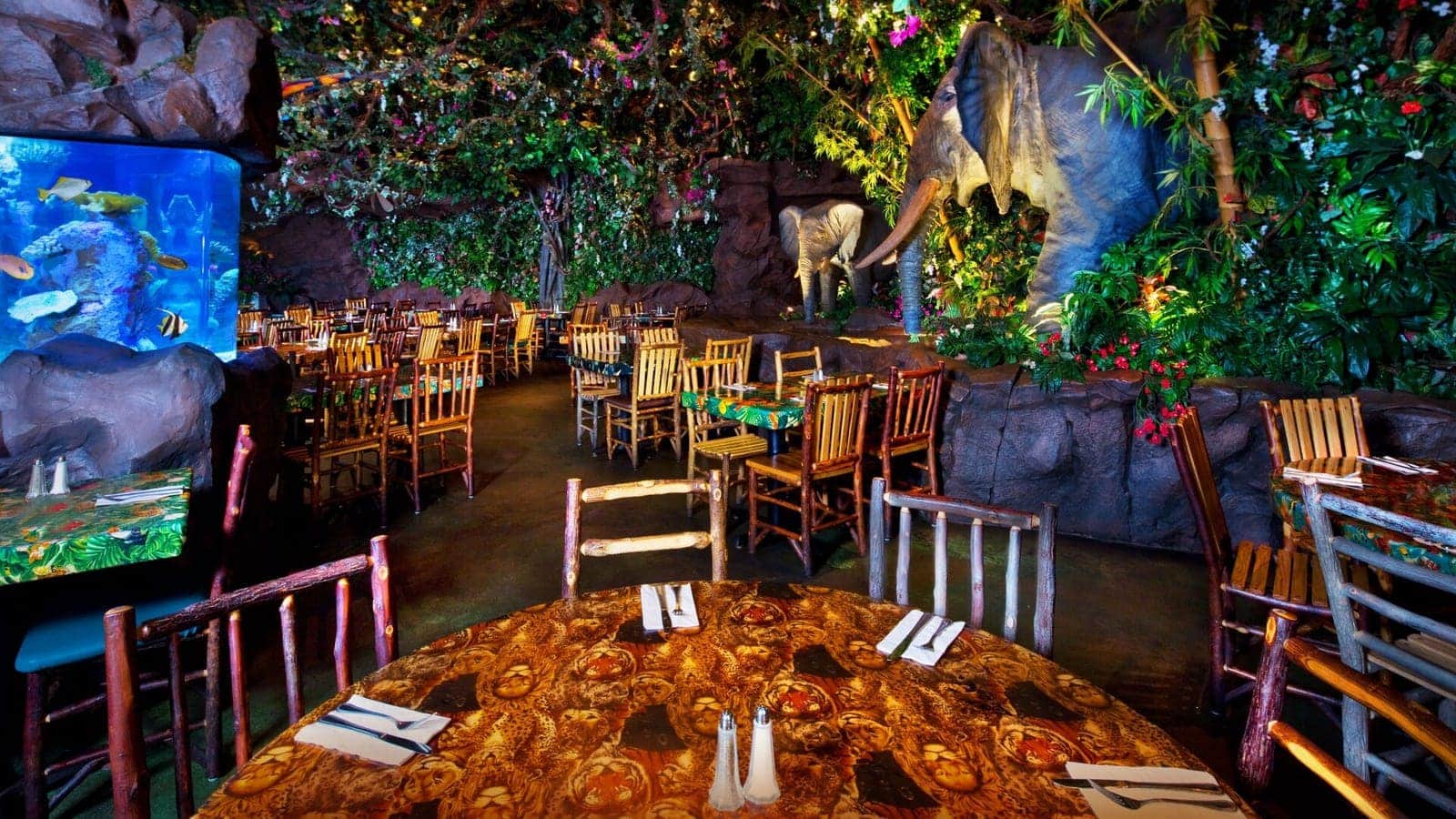Rainforest Cafe at Animal Kingdom